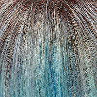 Accessories_Jon Renau_Ladies Wigs Cameron wig - SmartLace Collection Jon Renau