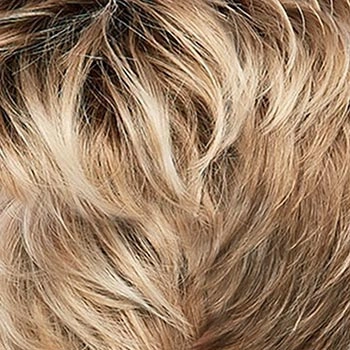 Accessories_Jon Renau_Wigs Allure Mono