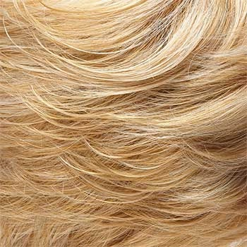 Accessories_Jon Renau_Wigs Allure