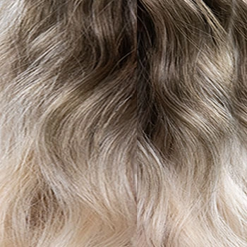 Accessories_Jon Renau_Wigs Camilla