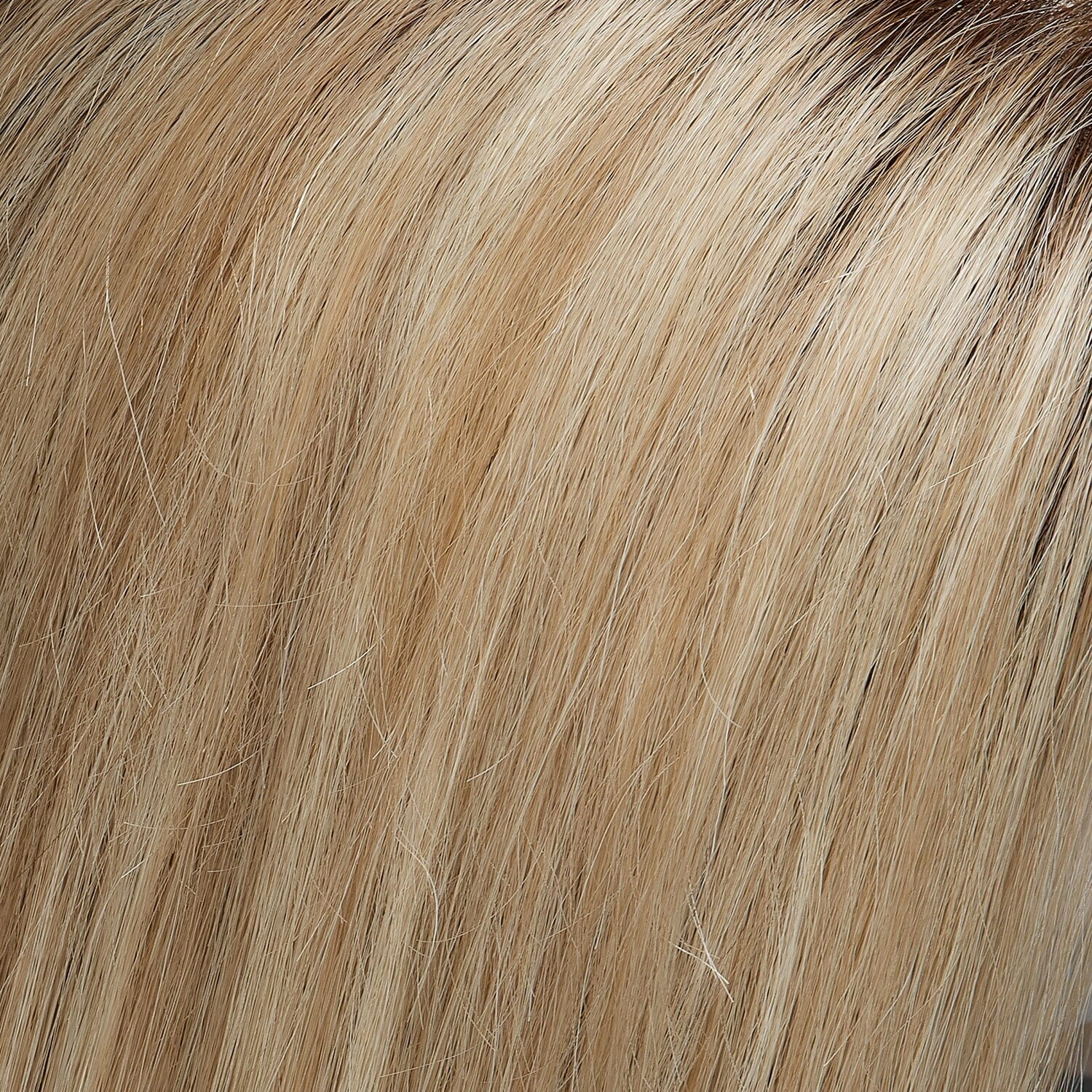 Accessories_Jon Renau_Wigs Charlotte Remy Human Hair Wig by Jon Renau | Discontinued | All Sales Final