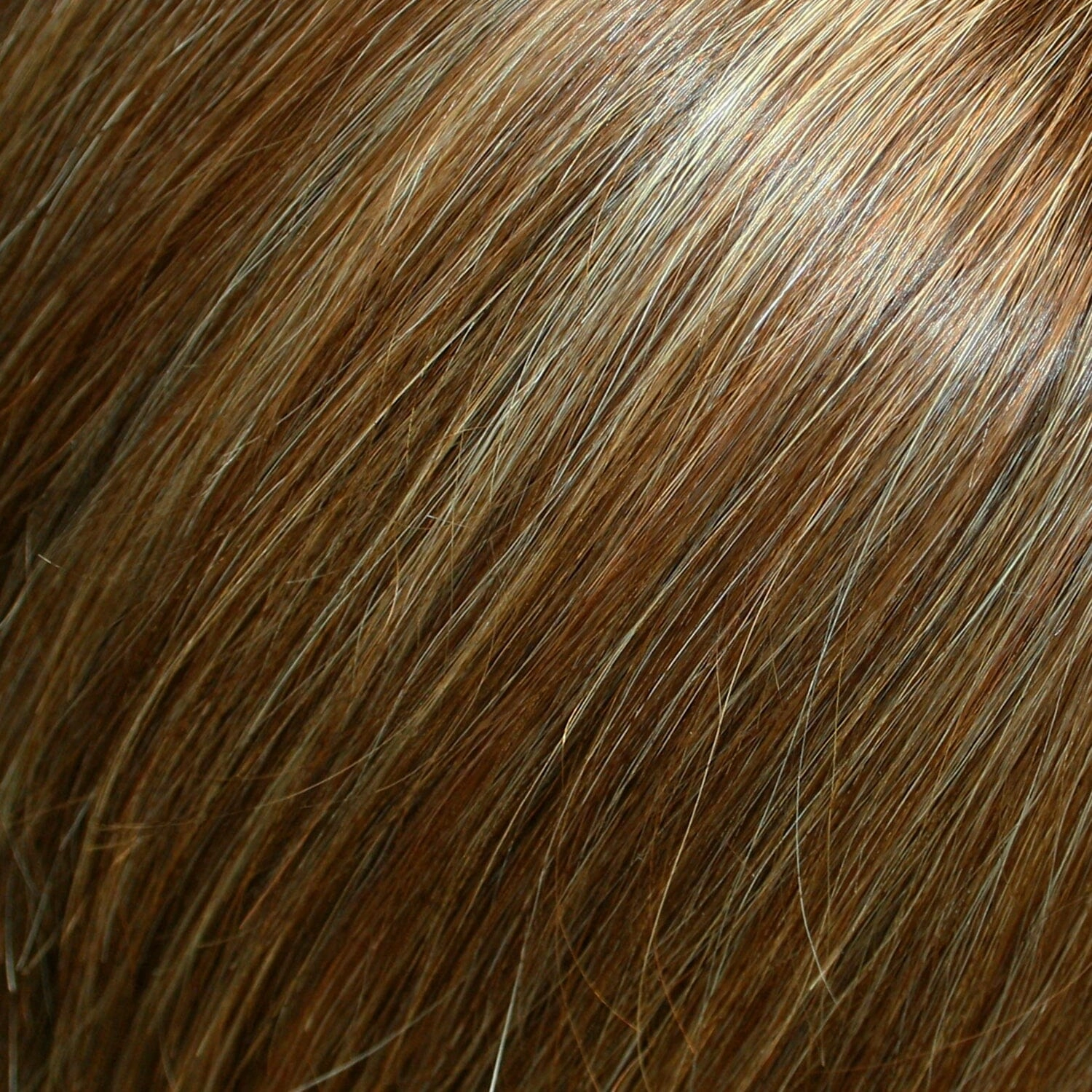 Accessories_Jon Renau_Wigs easiPart Human Hair XL 12" Addition by Jon Renau | Easihair