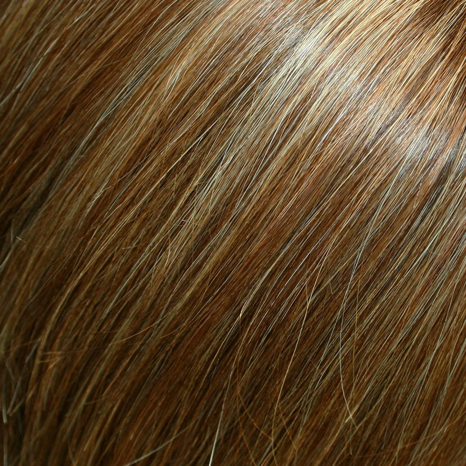 Accessories_Jon Renau_Wigs easiPart Human Hair XL 12" Addition by Jon Renau | Easihair