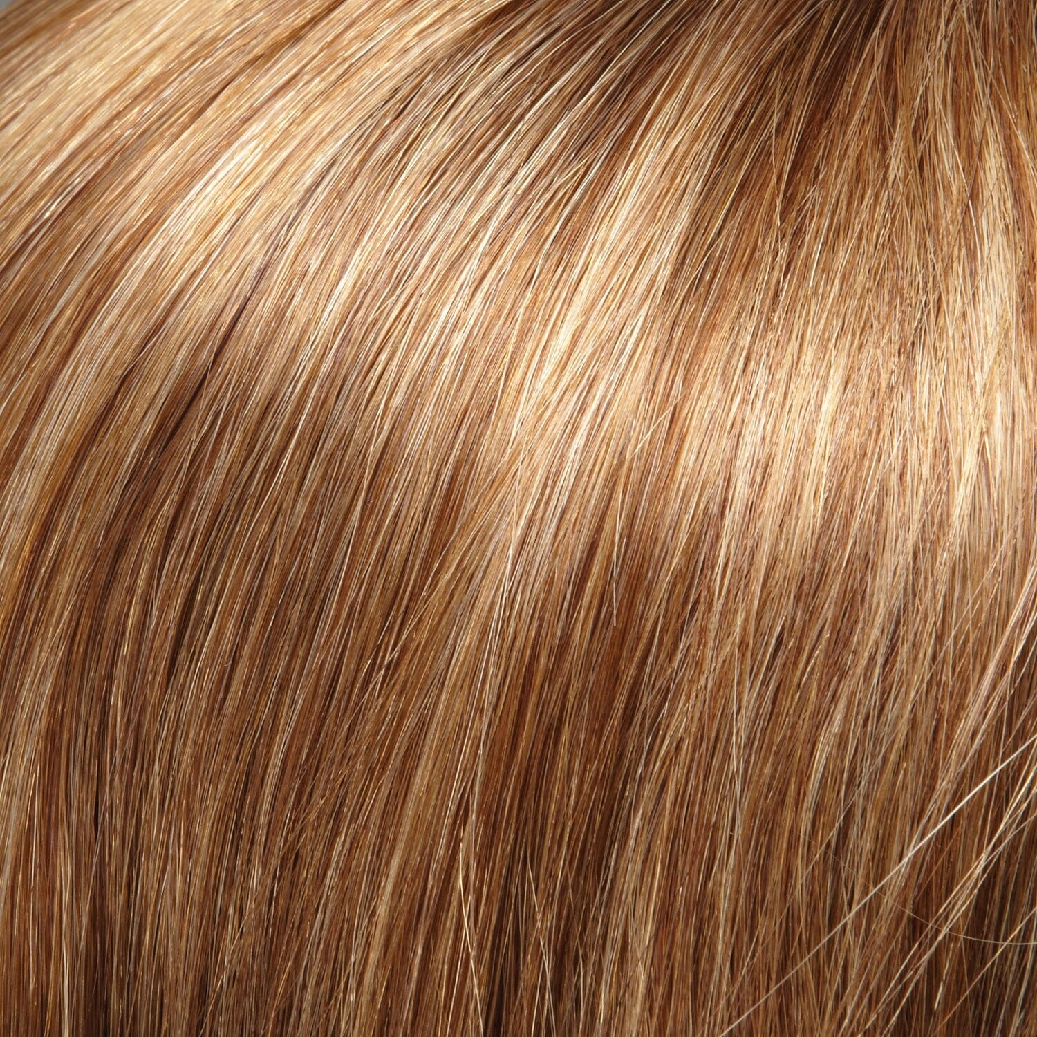 Accessories_Jon Renau_Wigs easiPart Human Hair XL 12" Addition by Jon Renau | Easihair
