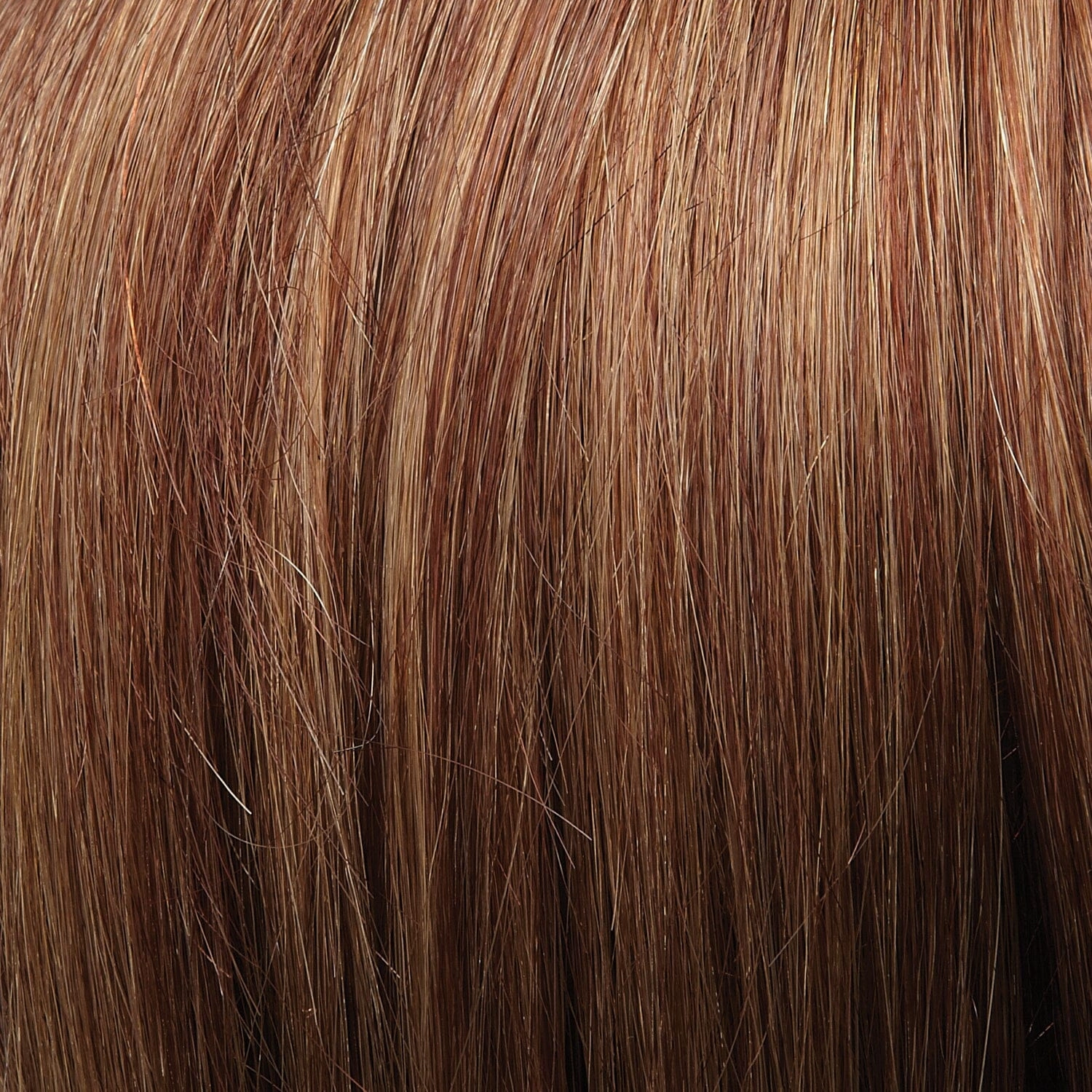 Accessories_Jon Renau_Wigs easiPart XL Human Hair 8" Addition by Jon Renau | Easihair