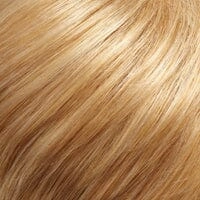 Accessories_Jon Renau_Wigs easiVolume 10" human hair extensions by Jon Renau (1 piece)
