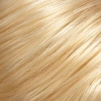 Accessories_Jon Renau_Wigs easiVolume 10" human hair extensions by Jon Renau (1 piece)
