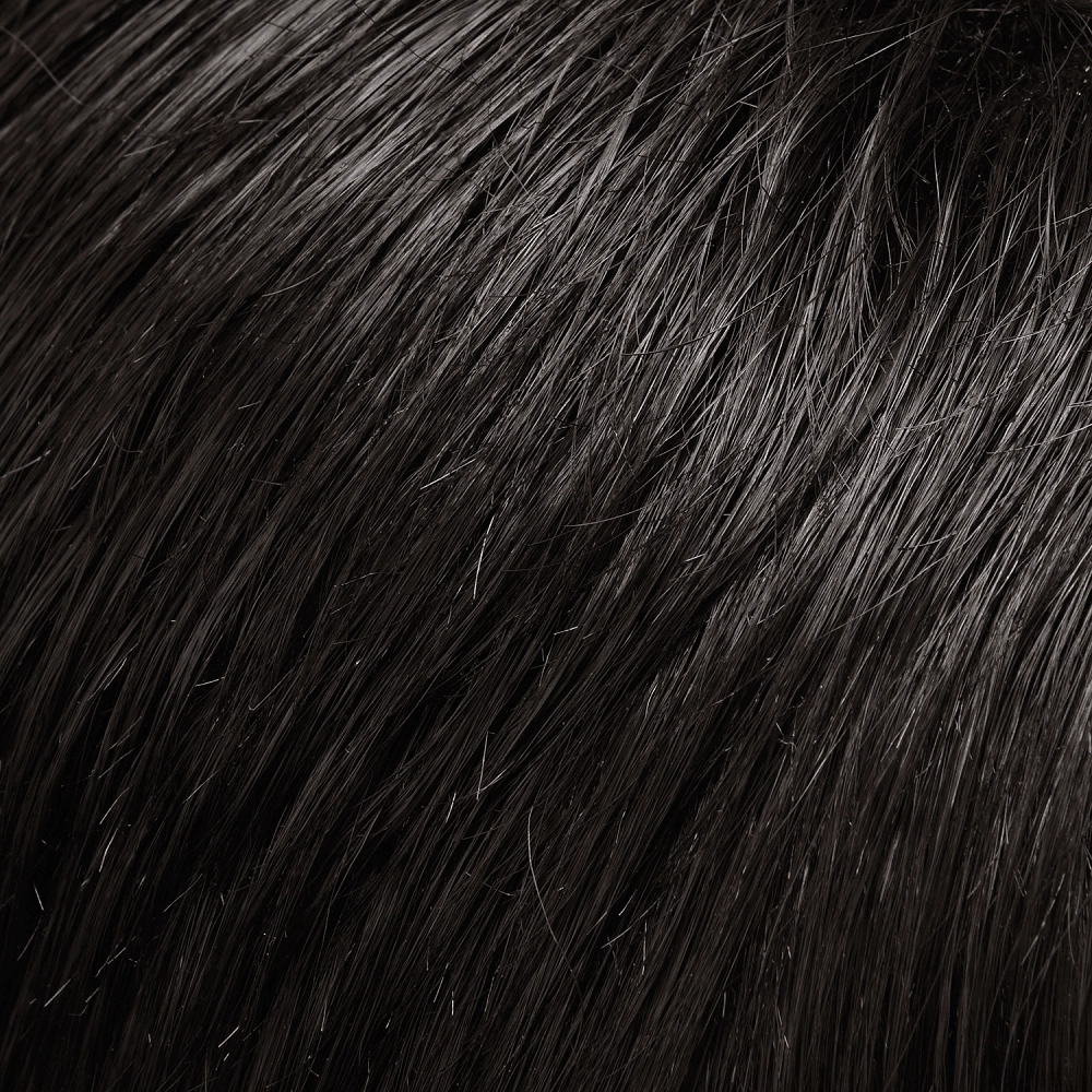 Accessories_Jon Renau_Wigs easiVolume 10" human hair extensions by Jon Renau (1 piece)