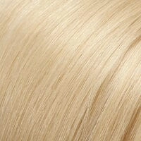Accessories_Jon Renau_Wigs Fun Bun by EasiHair -This item is not returnable and is not refundable