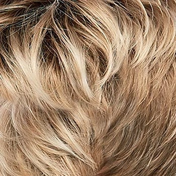 Accessories_Jon Renau_Wigs Gisele