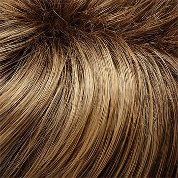 Accessories_Jon Renau_Wigs Gisele