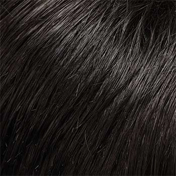 Accessories_Jon Renau_Wigs Gisele
