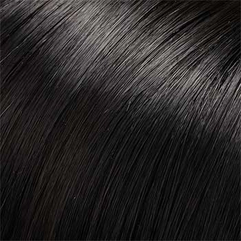 Accessories_Jon Renau_Wigs Gisele