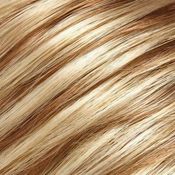 Accessories_Jon Renau_Wigs Gisele