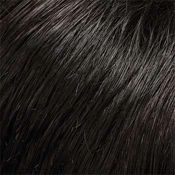 Accessories_Jon Renau_Wigs January