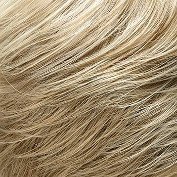 Accessories_Jon Renau_Wigs January
