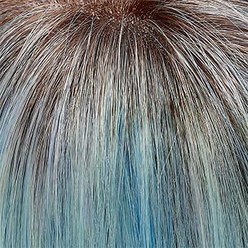Accessories_Jon Renau_Wigs January