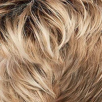 Accessories_Jon Renau_Wigs Natalie