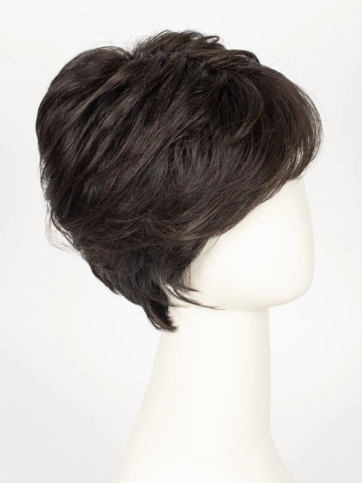 Accessories_Raquel Welch_Wigs Advanced French | HF Synthetic Lace Front Wig