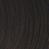 Accessories_Raquel Welch_Wigs Ahead of the Curve Synthetic Wig by Raquel Welch