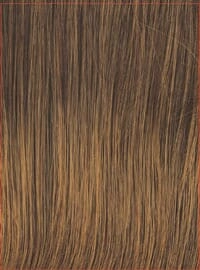 Accessories_Raquel Welch_Wigs Always Wig by Raquel Welch