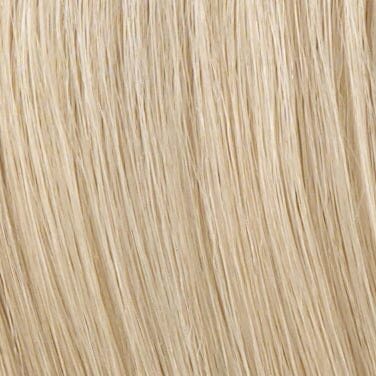 Accessories_Raquel Welch_Wigs Aperitif Synthetic Hair Bun by Raquel Welch **FINAL SALE - NOT ELIGIBLE FOR RETURNS OR EXCHANGES**