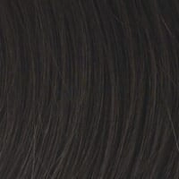 Accessories_Raquel Welch_Wigs Aperitif Synthetic Hair Bun by Raquel Welch **FINAL SALE - NOT ELIGIBLE FOR RETURNS OR EXCHANGES**