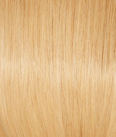 Accessories_Raquel Welch_Wigs Applause Lace Front Human Hair Wig by Raquel Welch