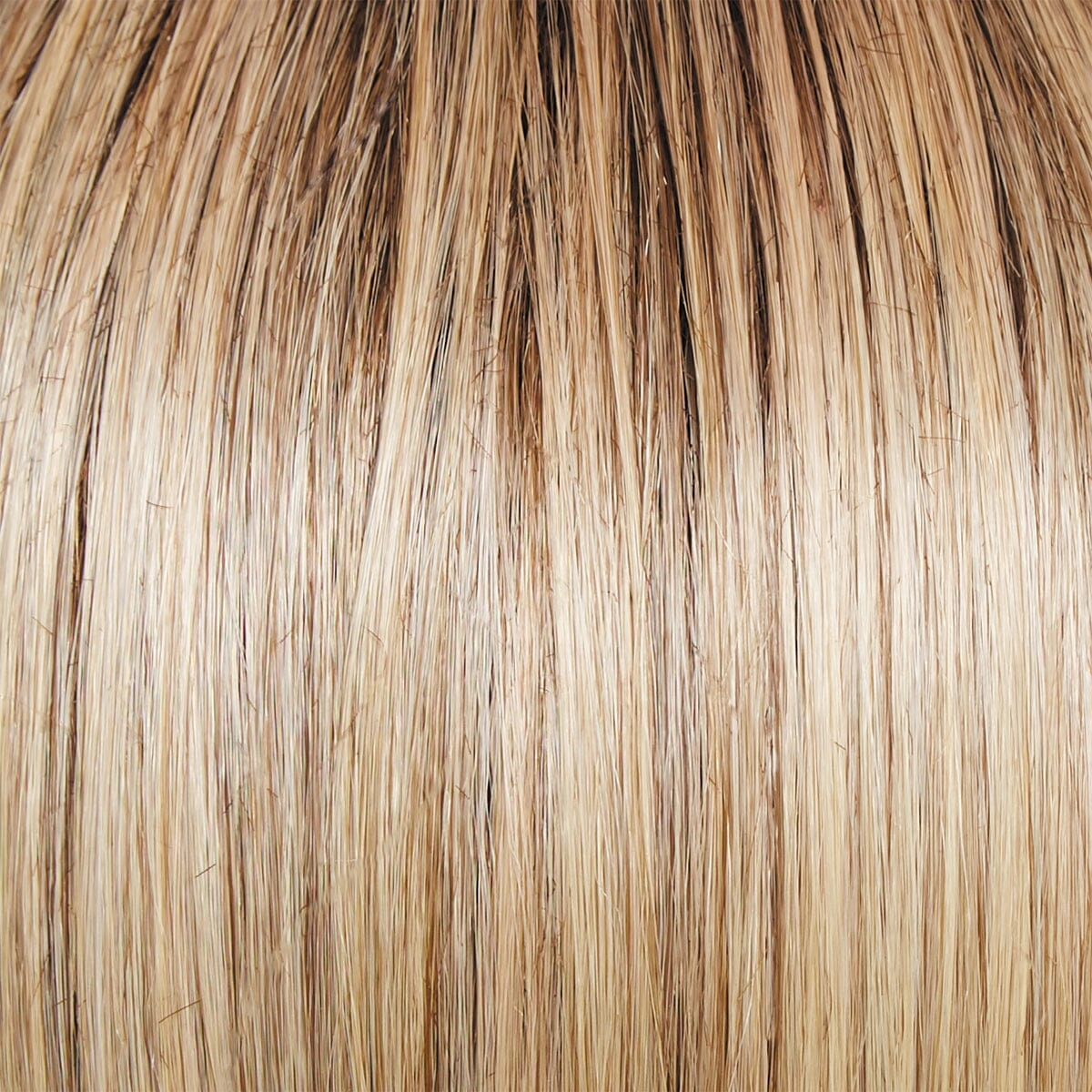 Accessories_Raquel Welch_Wigs Bella Vida Lace Front Wig by Raquel Welch
