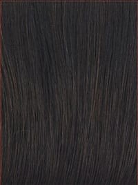 Accessories_Raquel Welch_Wigs Bella Vida Lace Front Wig by Raquel Welch