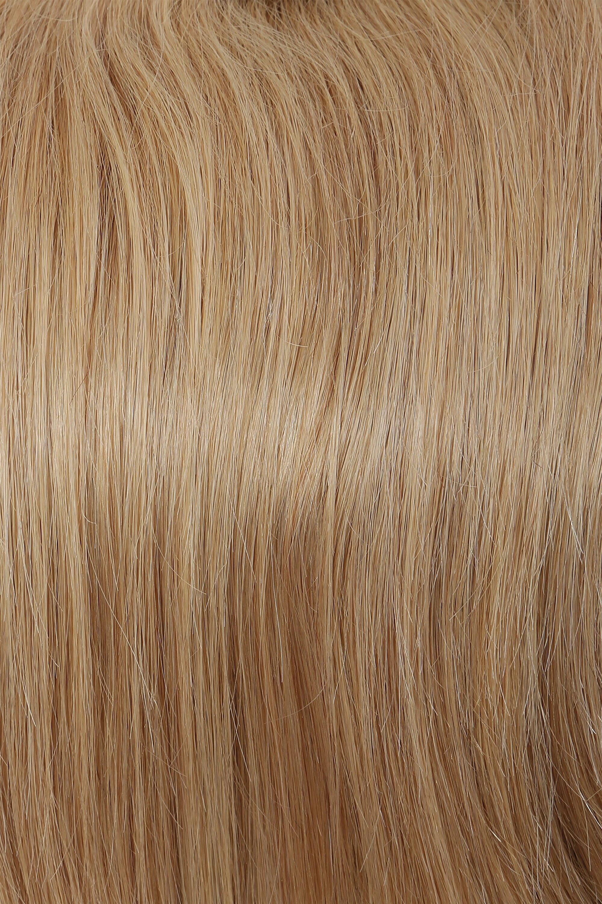 Accessories_Raquel Welch_Wigs Bravo Human Hair Wig by Raquel Welch