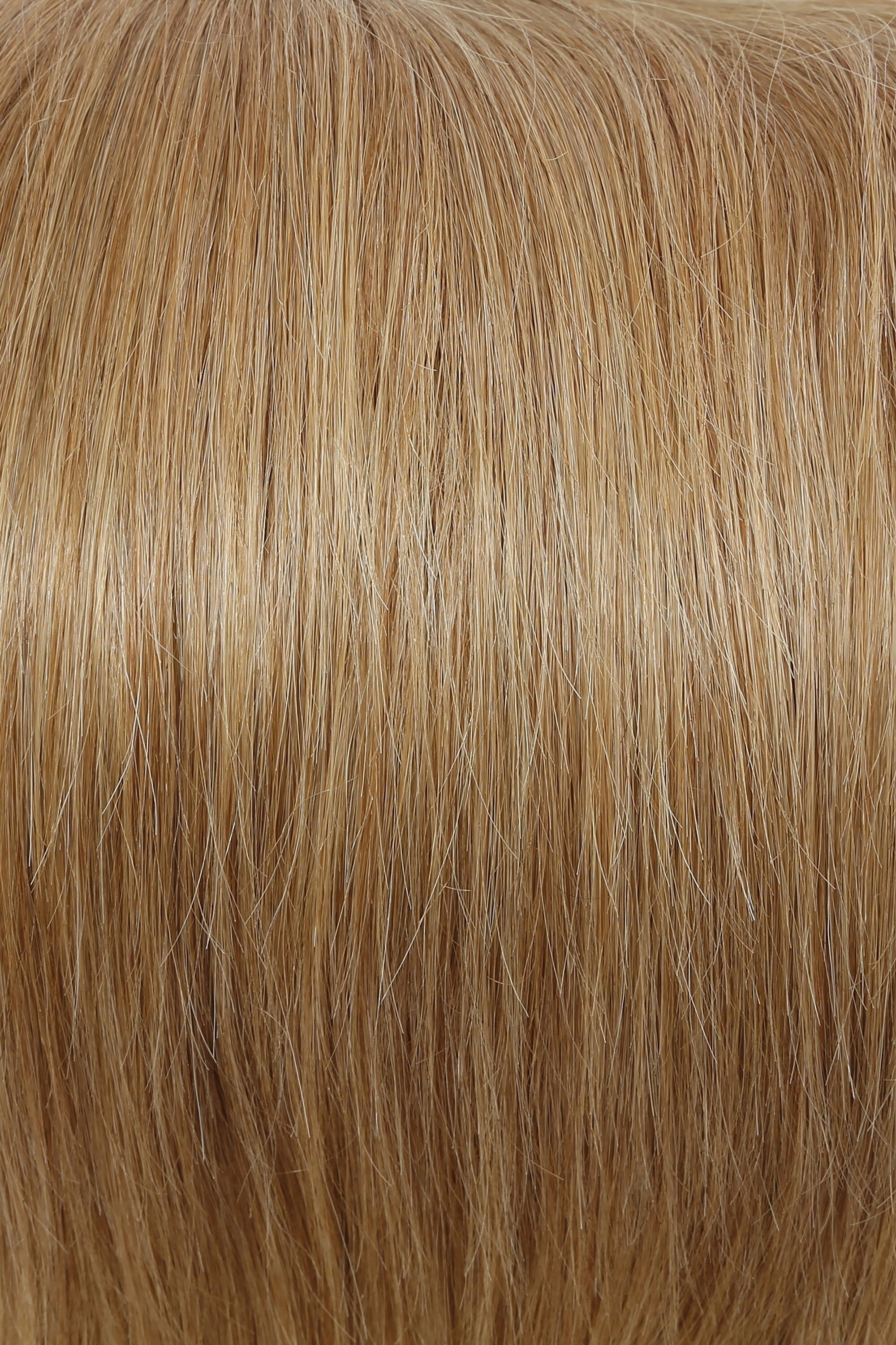Accessories_Raquel Welch_Wigs Bravo Human Hair Wig by Raquel Welch