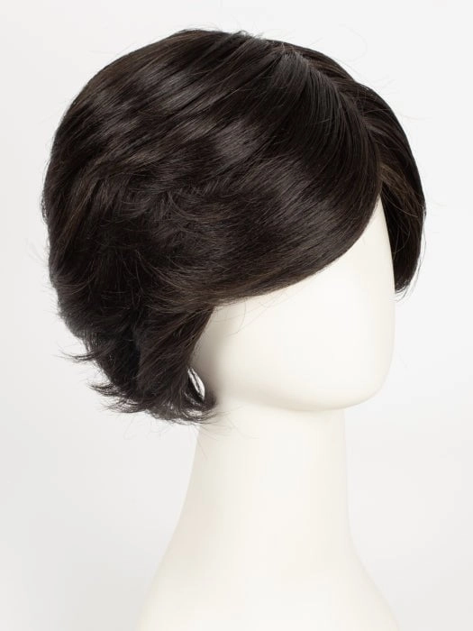 Accessories_Raquel Welch_Wigs Captivating Canvas | Synthetic Lace Front Wig (Basic Cap)