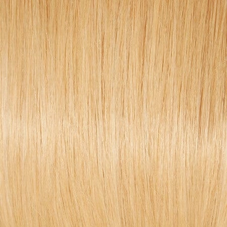 Accessories_Raquel Welch_Wigs Chart Topping Human Hair Topper by Raquel Welch