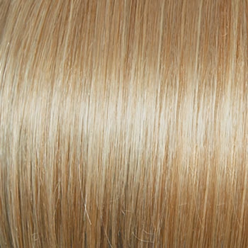 Accessories_Raquel Welch_Wigs Classic Cool Petite