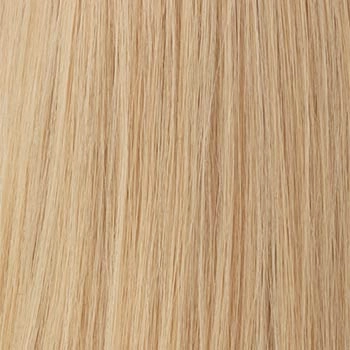 Accessories_Raquel Welch_Wigs Contessa