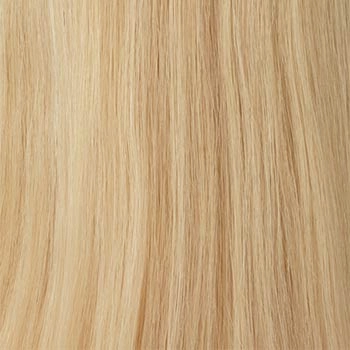 Accessories_Raquel Welch_Wigs Contessa
