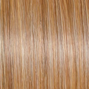 Accessories_Raquel Welch_Wigs Cruise Control