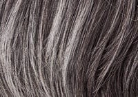 Accessories_Raquel Welch_Wigs Crushing On Casual Elite Wig by Raquel Welch