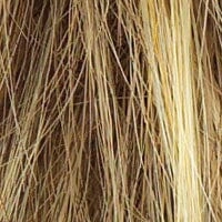 Accessories_Raquel Welch_Wigs Crushing on Casual Synthetic Wig by Raquel Welch