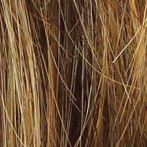Accessories_Raquel Welch_Wigs Crushing on Casual Synthetic Wig by Raquel Welch