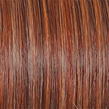 Accessories_Raquel Welch_Wigs Day to Date