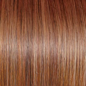 Accessories_Raquel Welch_Wigs Day to Date