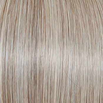 Accessories_Raquel Welch_Wigs Day to Date