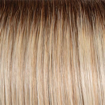 Accessories_Raquel Welch_Wigs Day to Date