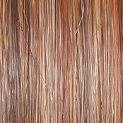 Accessories_Raquel Welch_Wigs Day to Date Wig by Raquel Welch | Heat Resistant Synthetic Lace Front (Mono Part)