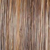 Accessories_Raquel Welch_Wigs Day to Date Wig by Raquel Welch | Heat Resistant Synthetic Lace Front (Mono Part)