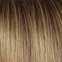 Accessories_Raquel Welch_Wigs Director's Pick Wig by Raquel Welch | Heat Friendly Synthetic (Lace Front Mono)