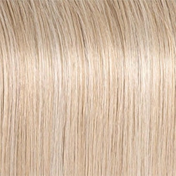 Accessories_Raquel Welch_Wigs Director's Pick Wig by Raquel Welch | Heat Friendly Synthetic (Lace Front Mono)