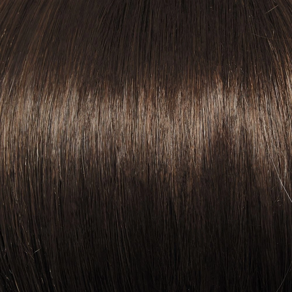 Accessories_Raquel Welch_Wigs Dress Code LARGE Wig by Raquel Welch